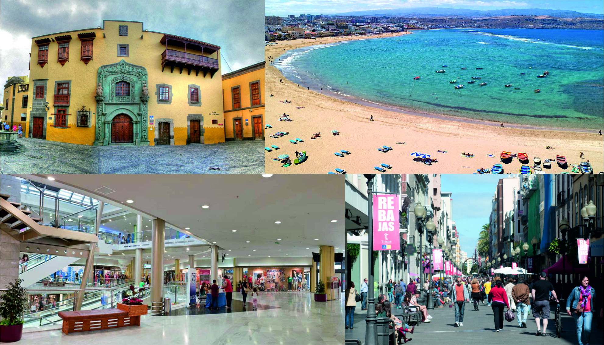 Excursión las palmas