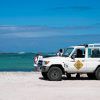 Safari Cotillo