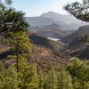 excursion gran canaria
