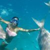 Snorkel isla de lobos